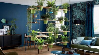 Photo of Растения в интерьере: новый тренд